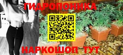 винт Можга