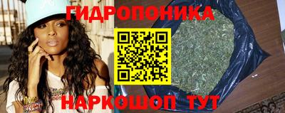 винт Можга