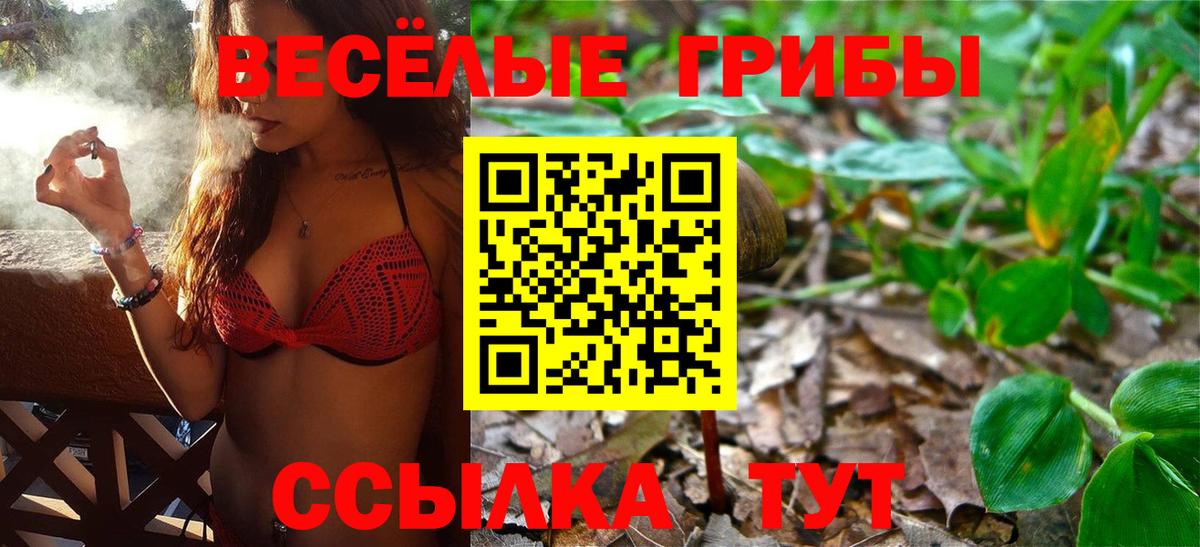 Псилоцибиновые грибы GOLDEN TEACHER  Вход с VPN  Галлюциногенные грибы GOLDEN TEACHER  Чехов 